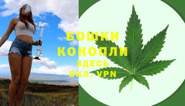PSILOCYBIN Сясьстрой