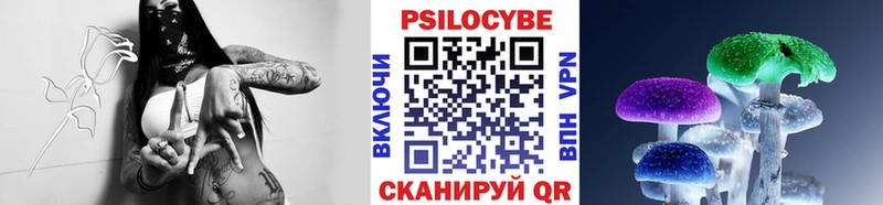 blacksprut ССЫЛКА Кондопога Псилоцибиновые грибы Psilocybine cubensis